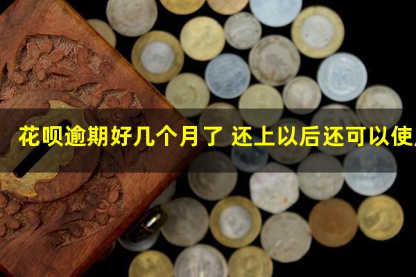 花呗逾期好几个月了 还上以后还可以使用吗